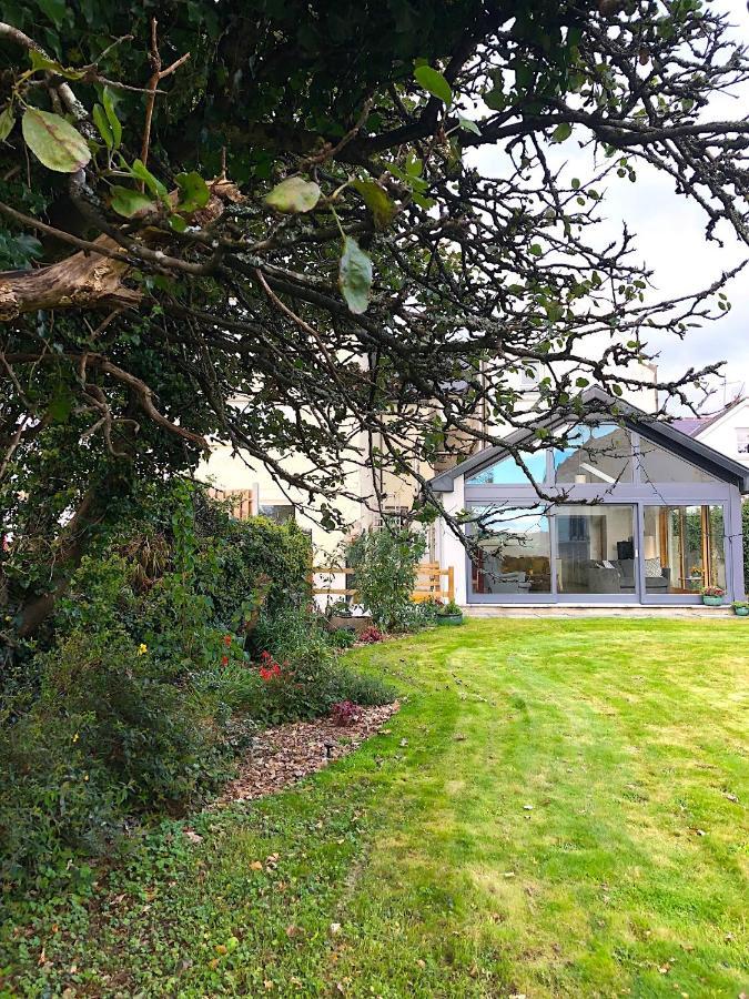 Bed and Breakfast Dingle Garden Townhouse Exteriér fotografie The garden of the house